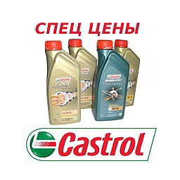 Castrol Professional специальные цены